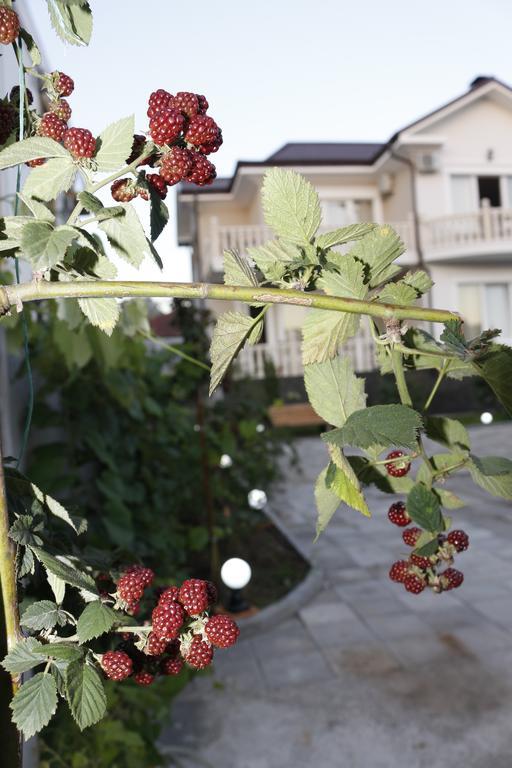 Guest House Sofia Кобулети Екстериор снимка