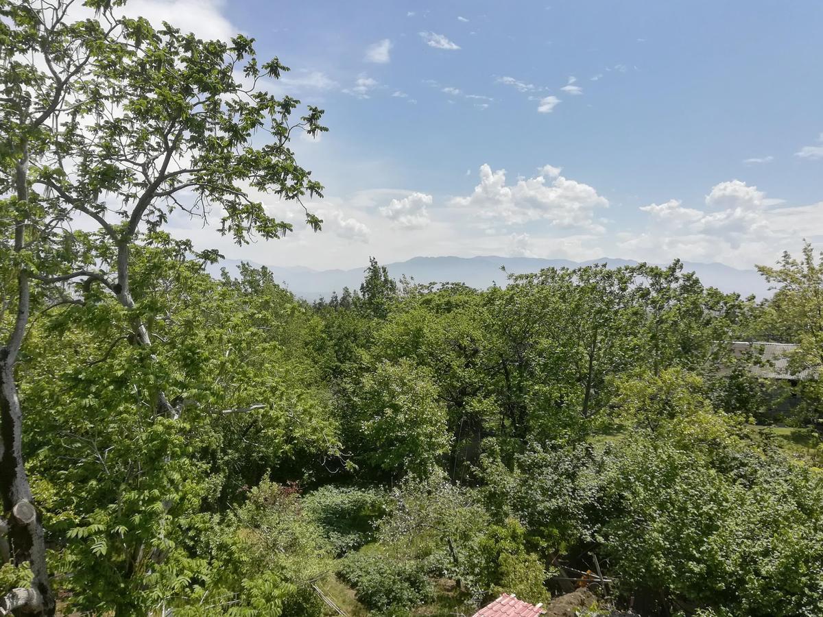 Guest House Sofia Кобулети Екстериор снимка